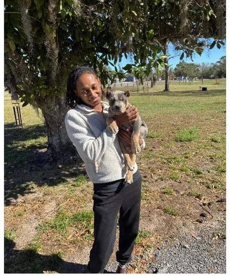 Happy customer with their new puppy from Pocket XL Bullies