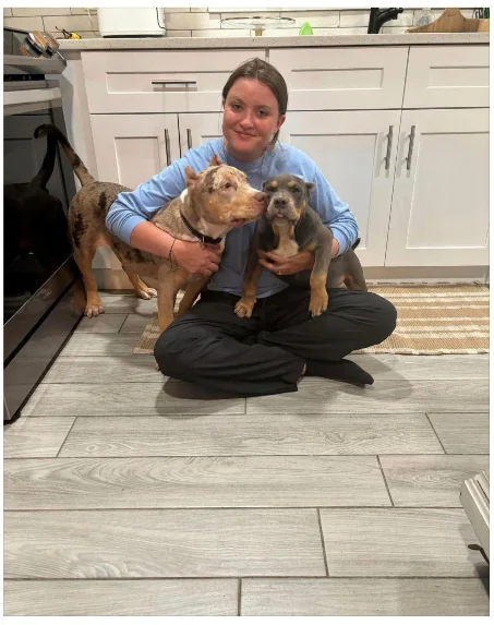Happy customer with their new puppy from Pocket XL Bullies